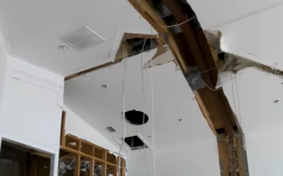 Episode 1: The Gutted Shell | 12 White Cliffs Crest Renovation Series – Blue Mountain Beach, FL
